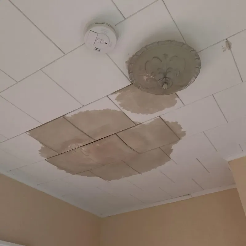 Ceiling Water Damage Repair in Shallotte, NC